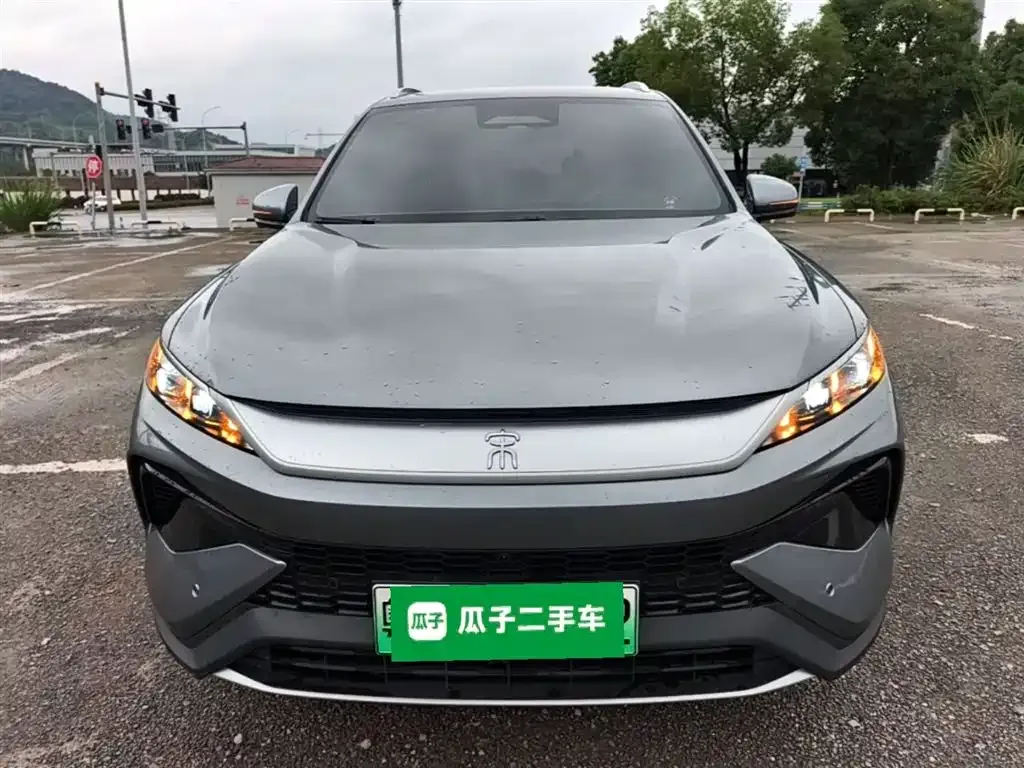 BYD Pro New Energy 2025 из CN, фото 6