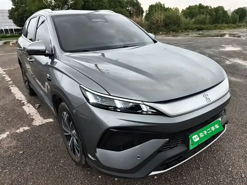 BYD Pro New Energy 2025 из CN, фото 9