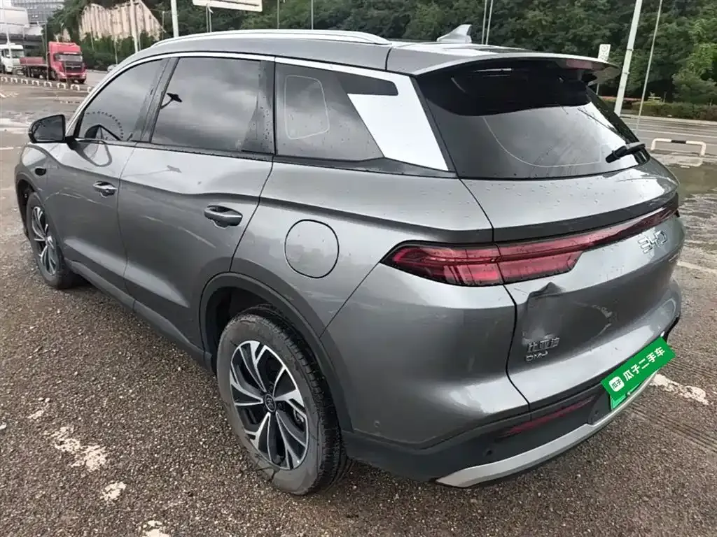 BYD Pro New Energy 2025 из CN, фото 10