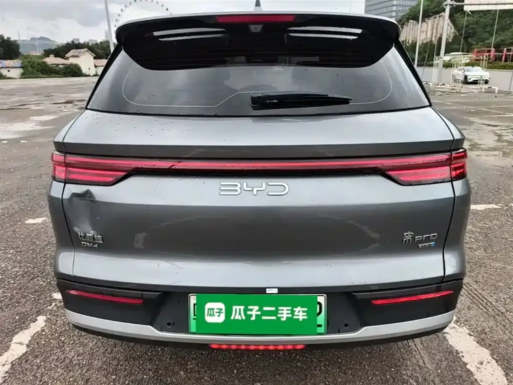 BYD Pro New Energy 2025 из CN, фото 7