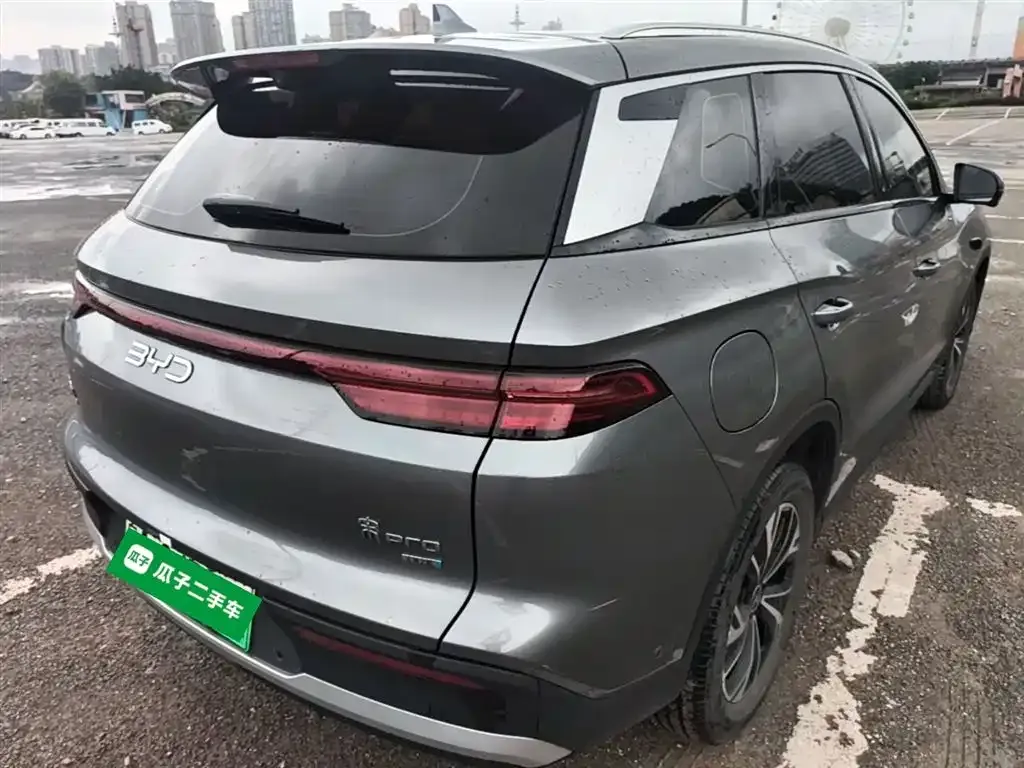 BYD Pro New Energy 2025 из CN, фото 2
