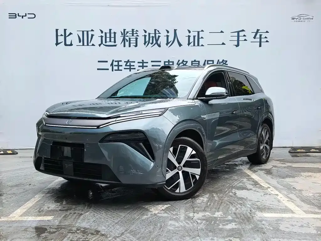 BYD Tang L — фото 1