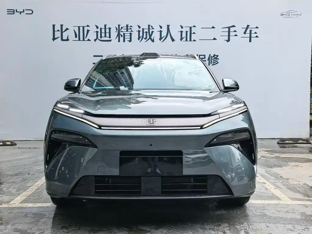 BYD Tang L — фото 2