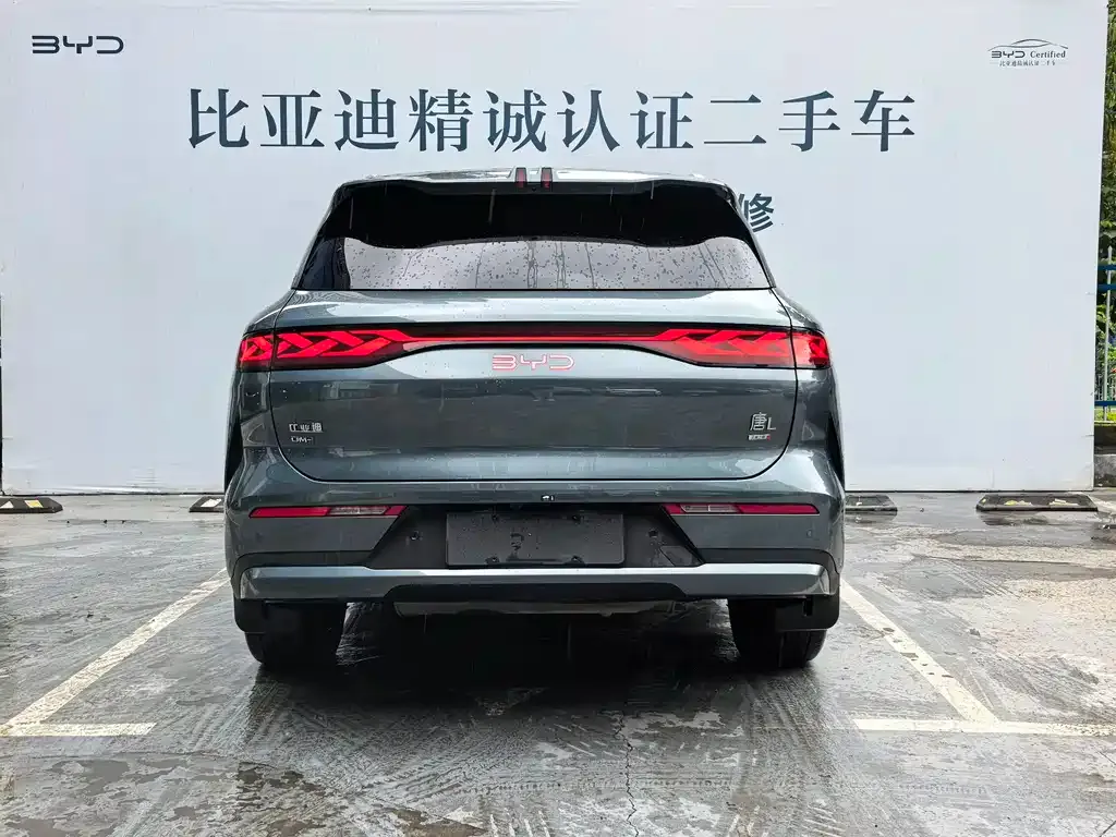 BYD Tang L — фото 9