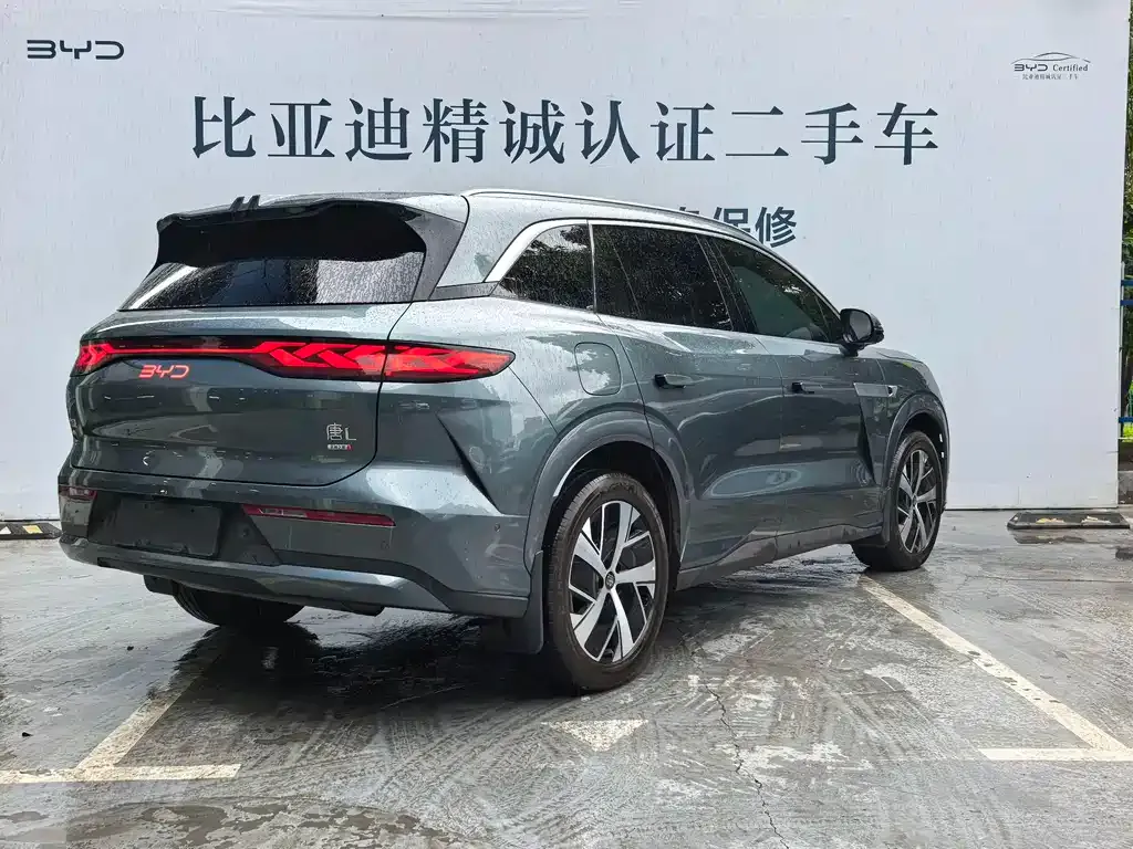 BYD Tang L — фото 5