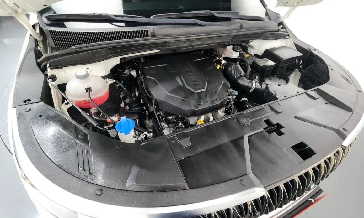 Kia Carnival — фото 10