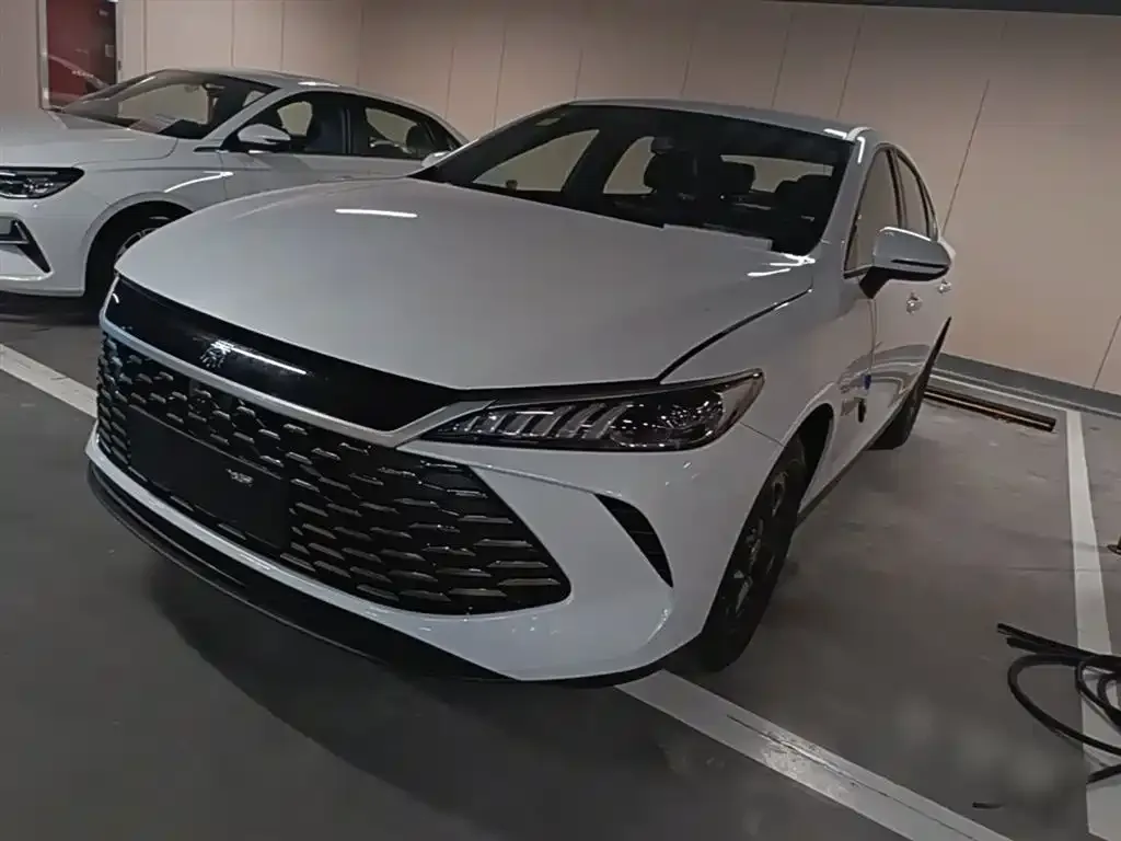 BYD Qin PLUS — фото 1