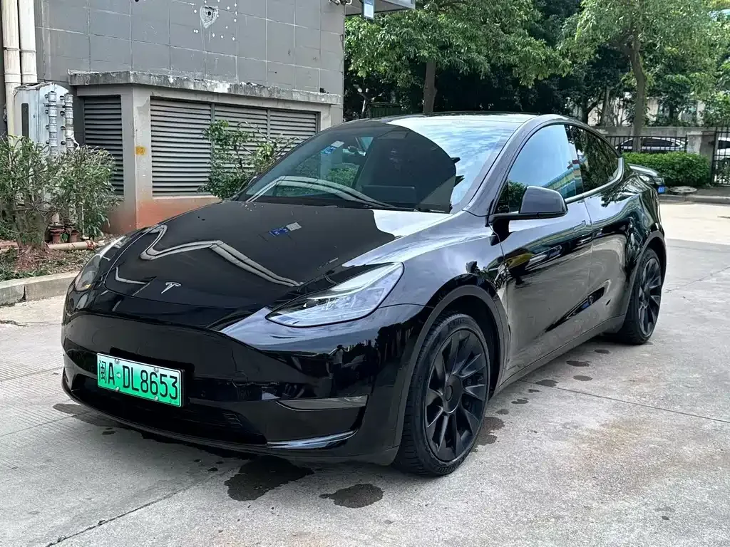 Tesla Model Y — фото 1