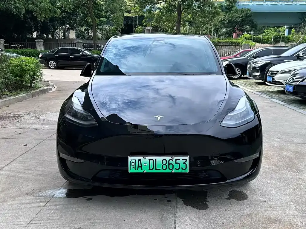 Tesla Model Y — фото 2