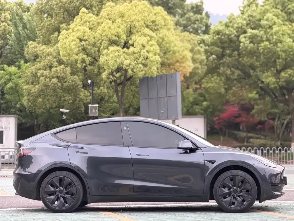 Tesla Model Y — фото 8