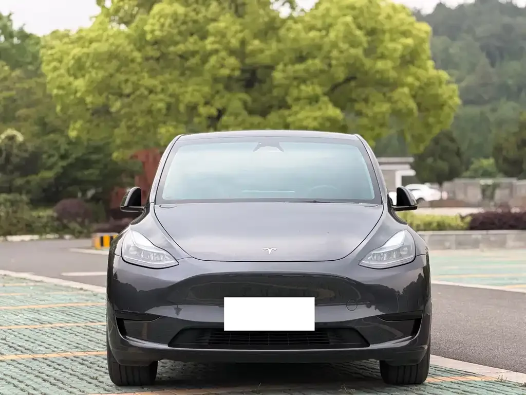 Tesla Model Y — фото 7