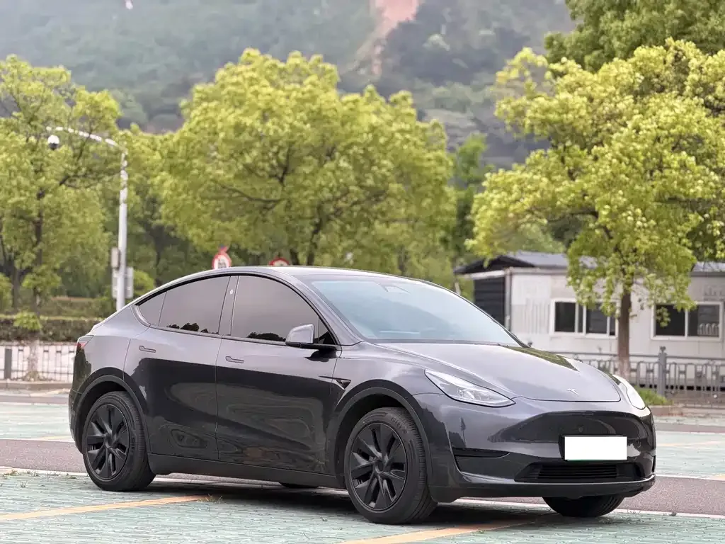 Tesla Model Y — фото 10