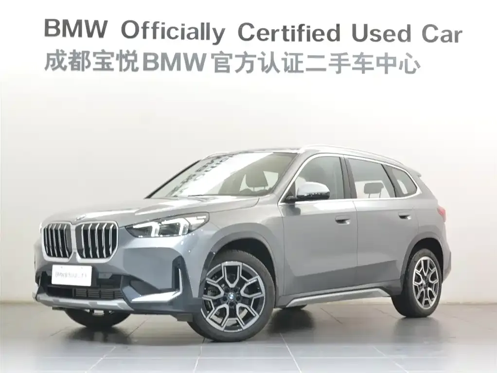 BMW X1 — фото 1