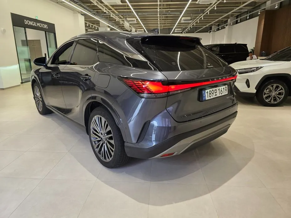 Lexus RX 2024 из KR, фото 4
