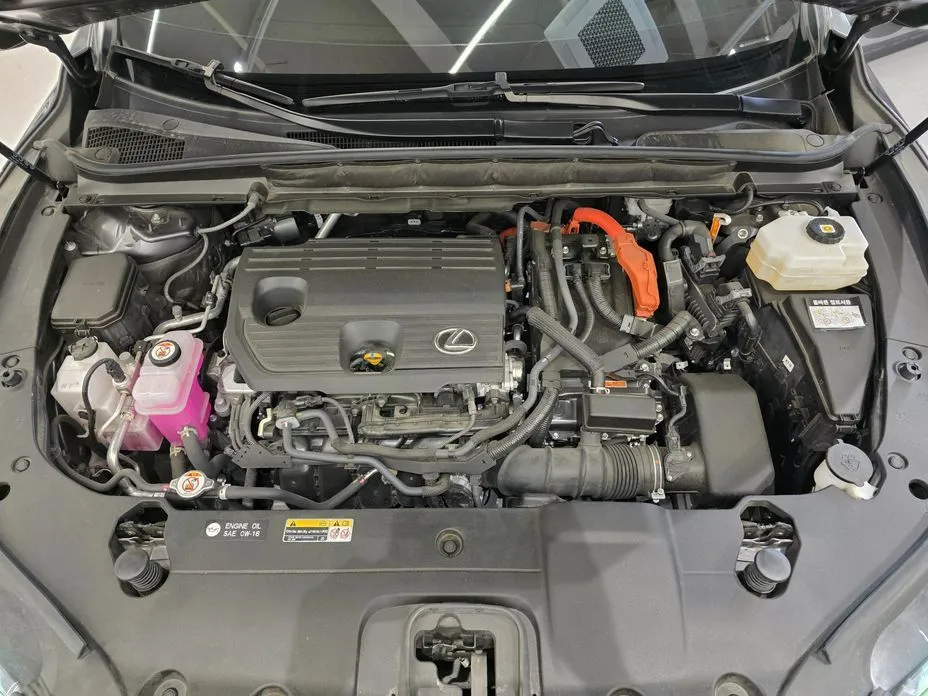 Lexus RX 2024 из KR, фото 10