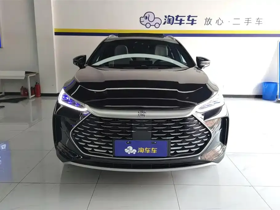BYD Tang New Energy — фото 5