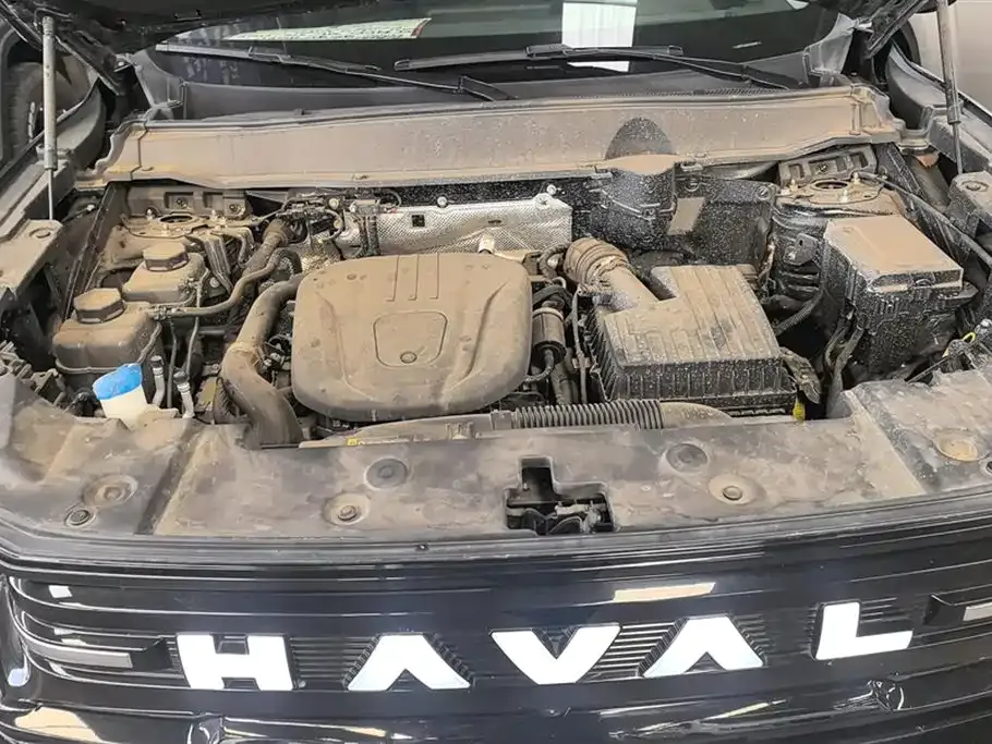 Haval H7 (Big Dog Plus) New Energy 2025 из CN, фото 10