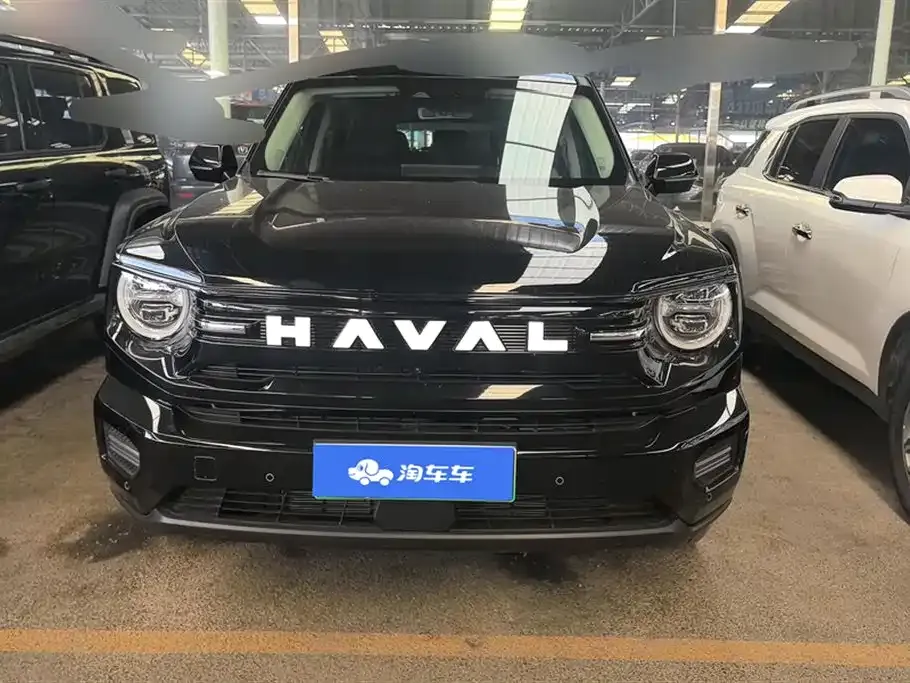 Haval H7 (Big Dog Plus) New Energy 2025 из CN, фото 5