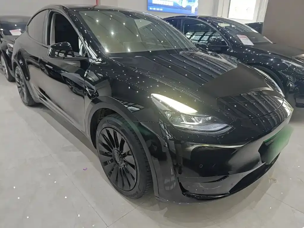 Tesla Model Y — фото 5