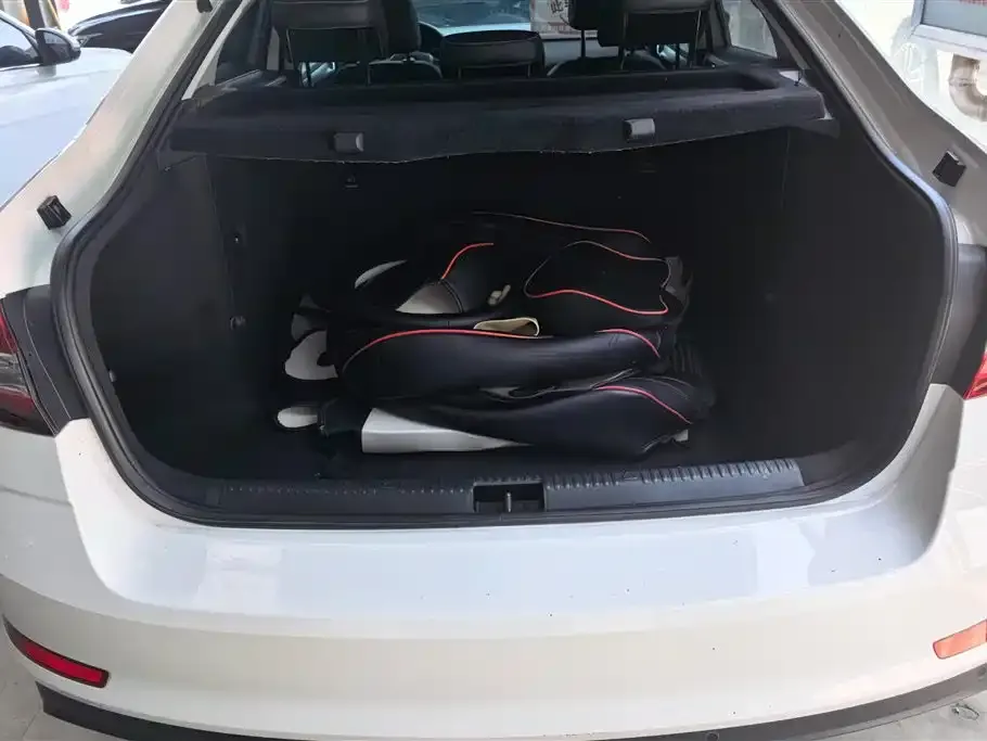 Skoda Octavia 2021 из CN, фото 3