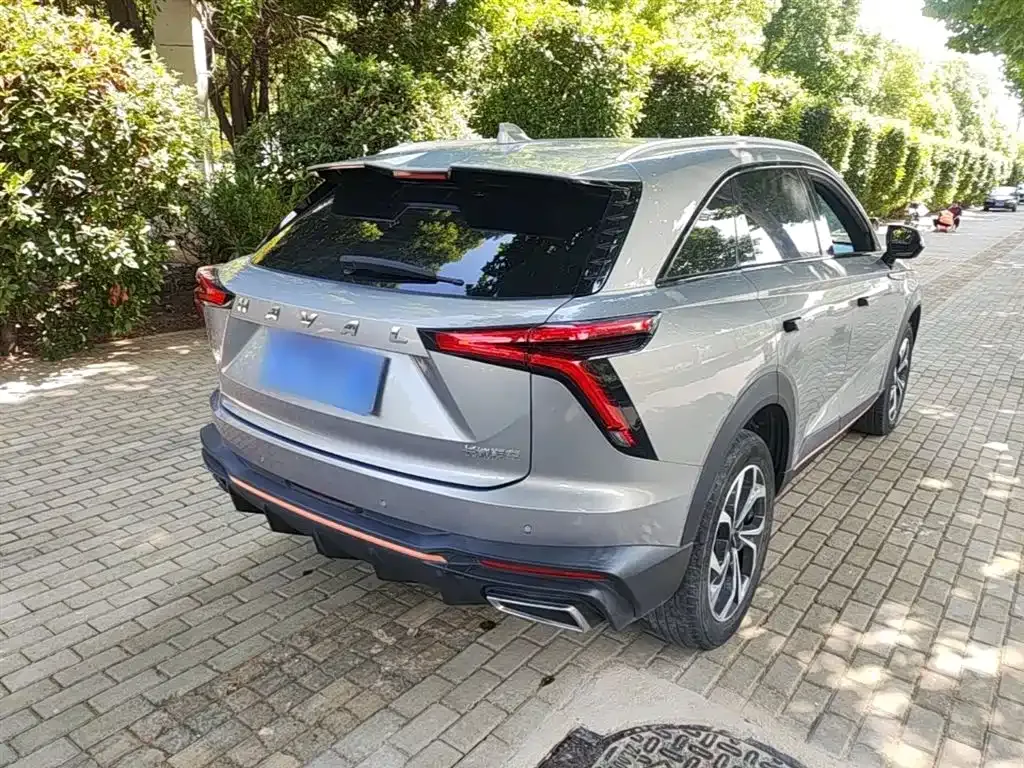 Haval Shenshou 2022 из CN, фото 4