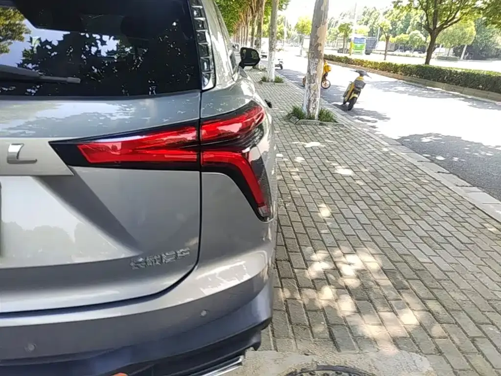 Haval Shenshou 2022 из CN, фото 3