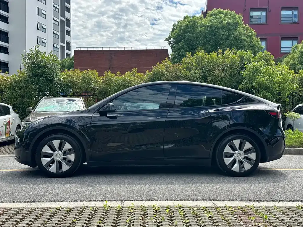 Tesla Model Y — фото 3