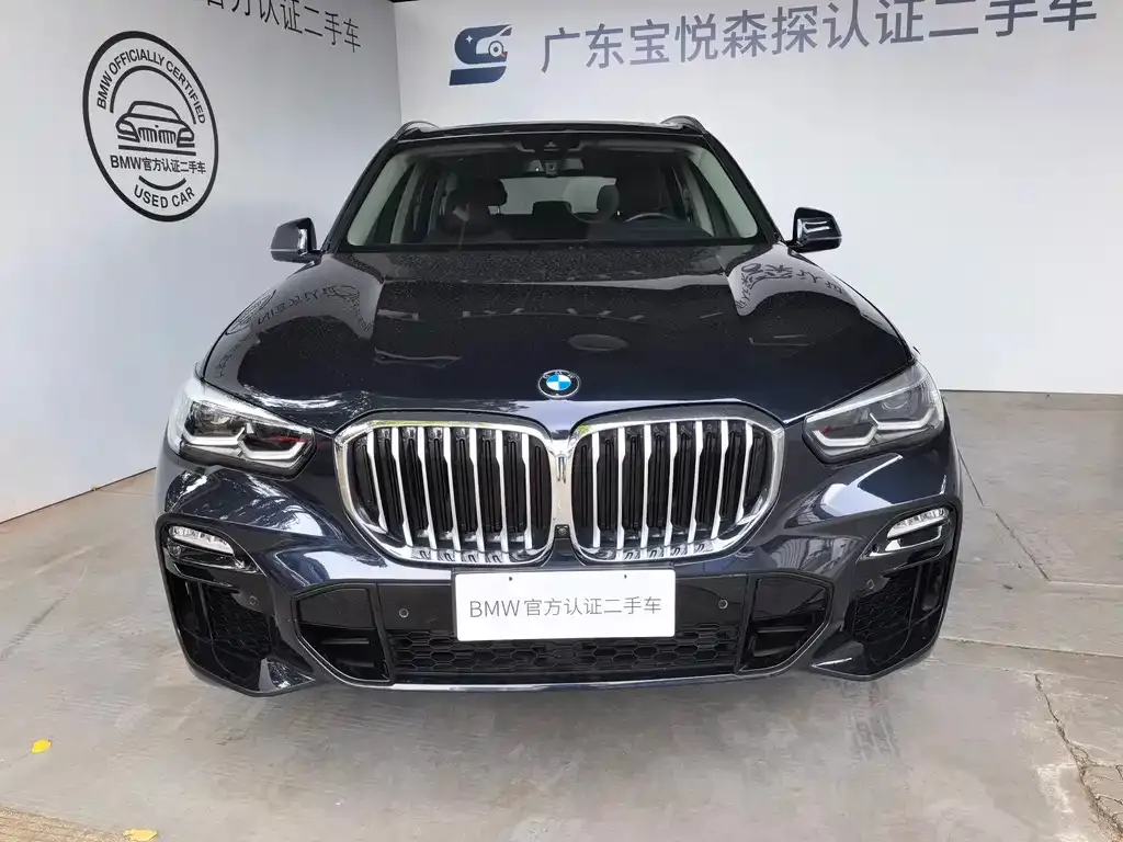 BMW X5 (Import) 2021 из CN, фото 6