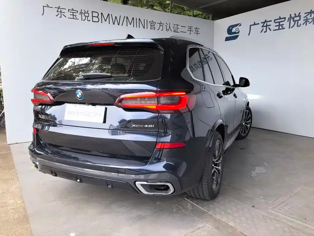 BMW X5 (Import) 2021 из CN, фото 10