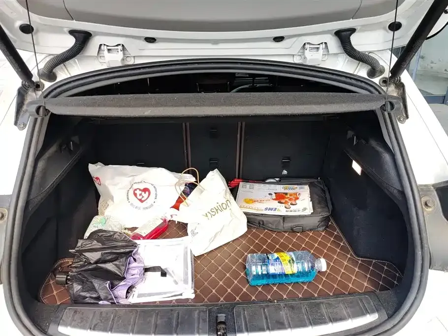 BMW X2 2021 из CN, фото 8