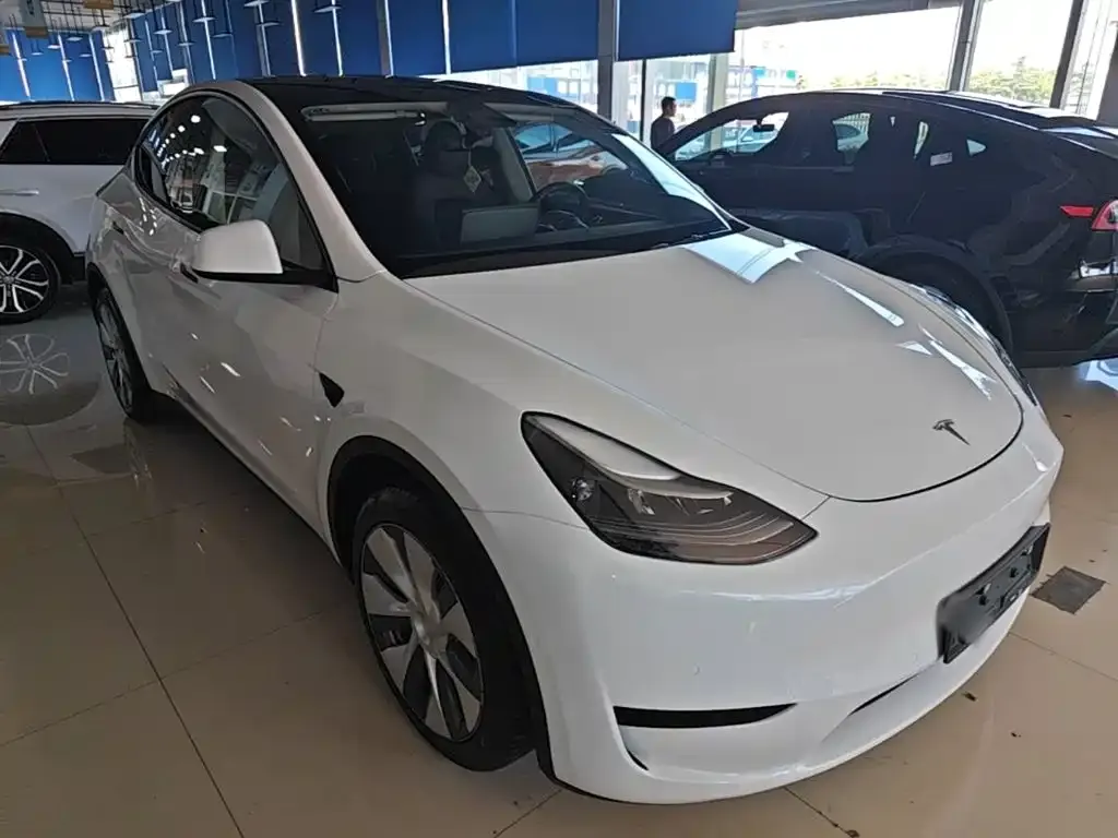 Tesla Model Y — фото 5