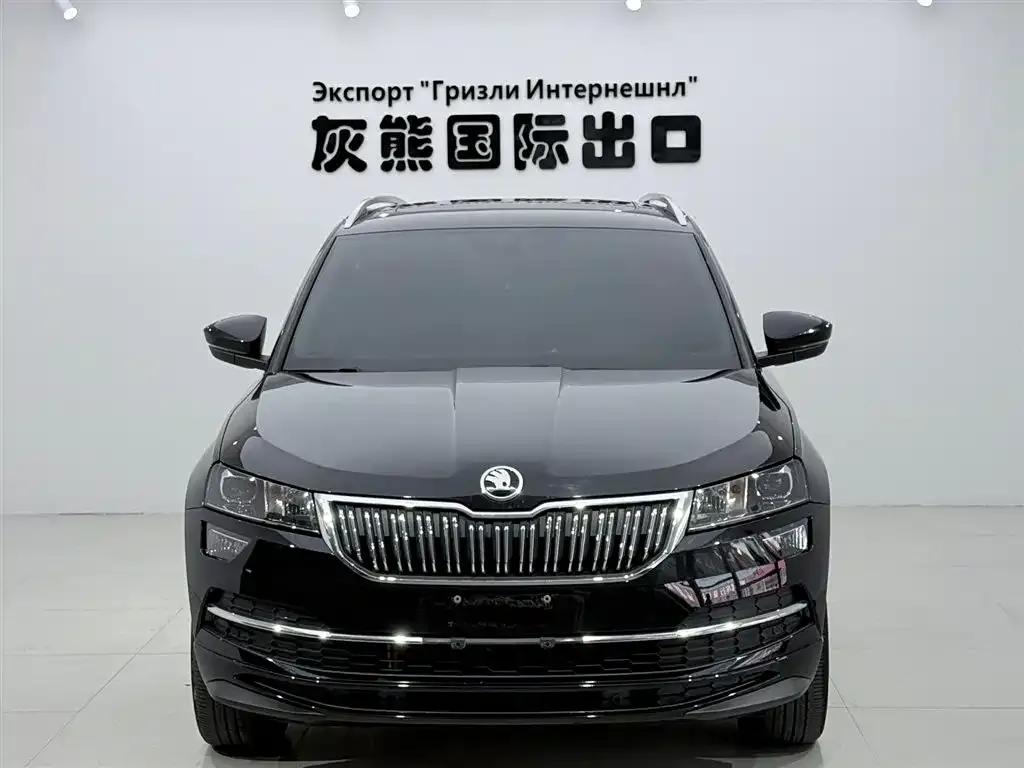 Skoda Karoq — фото 9