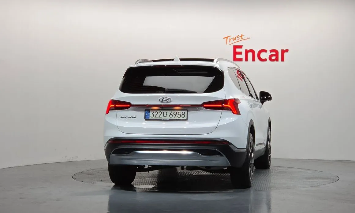 Hyundai Santafe 2021 из KR, фото 4