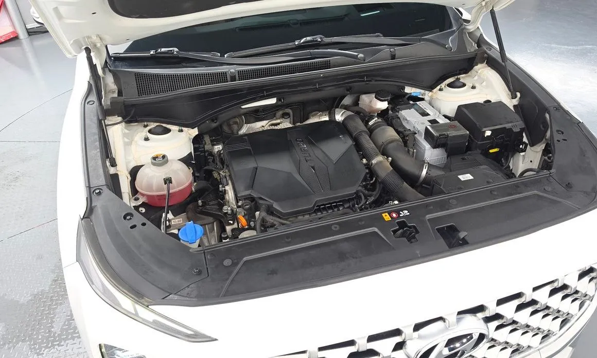 Hyundai Santafe 2021 из KR, фото 7