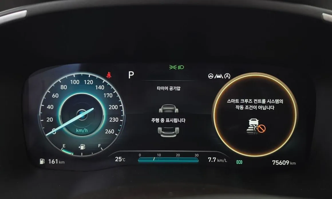 Hyundai Santafe 2021 из KR, фото 5