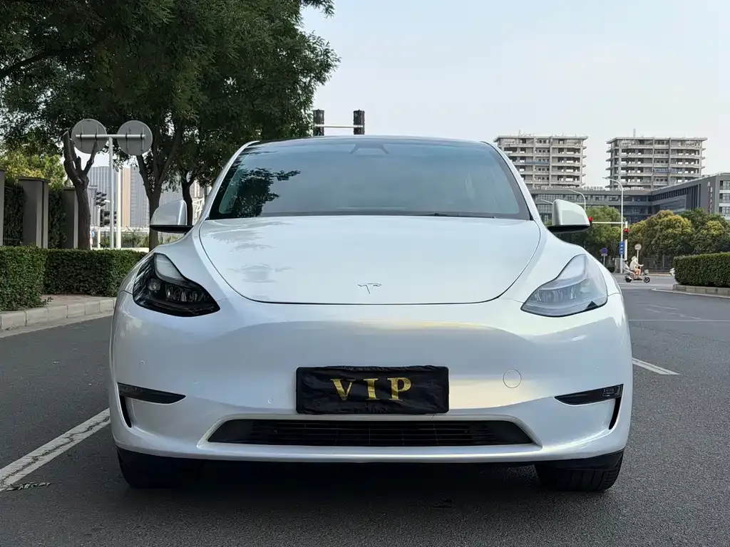 Tesla Model Y — фото 10