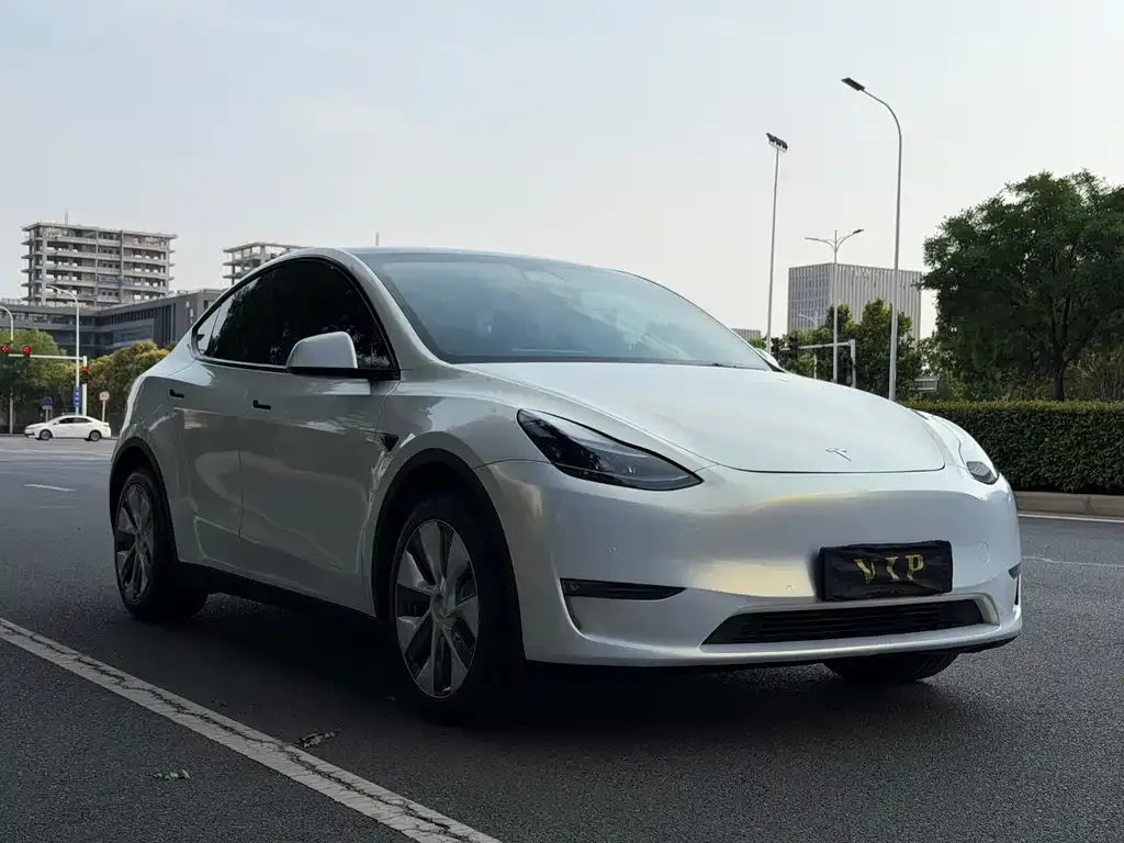 Tesla Model Y — фото 5