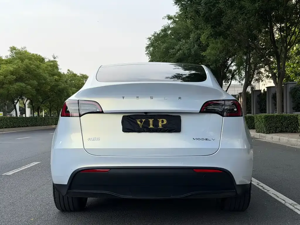 Tesla Model Y — фото 9