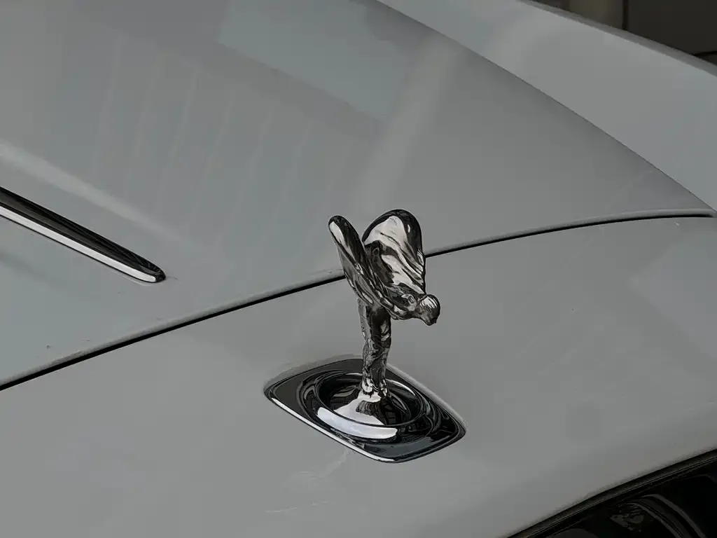 Rolls-Royce Dawn 2021 из CN, фото 2