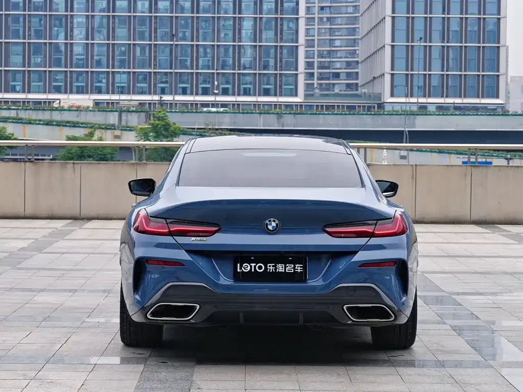 BMW 8 Series 2021 из CN, фото 3