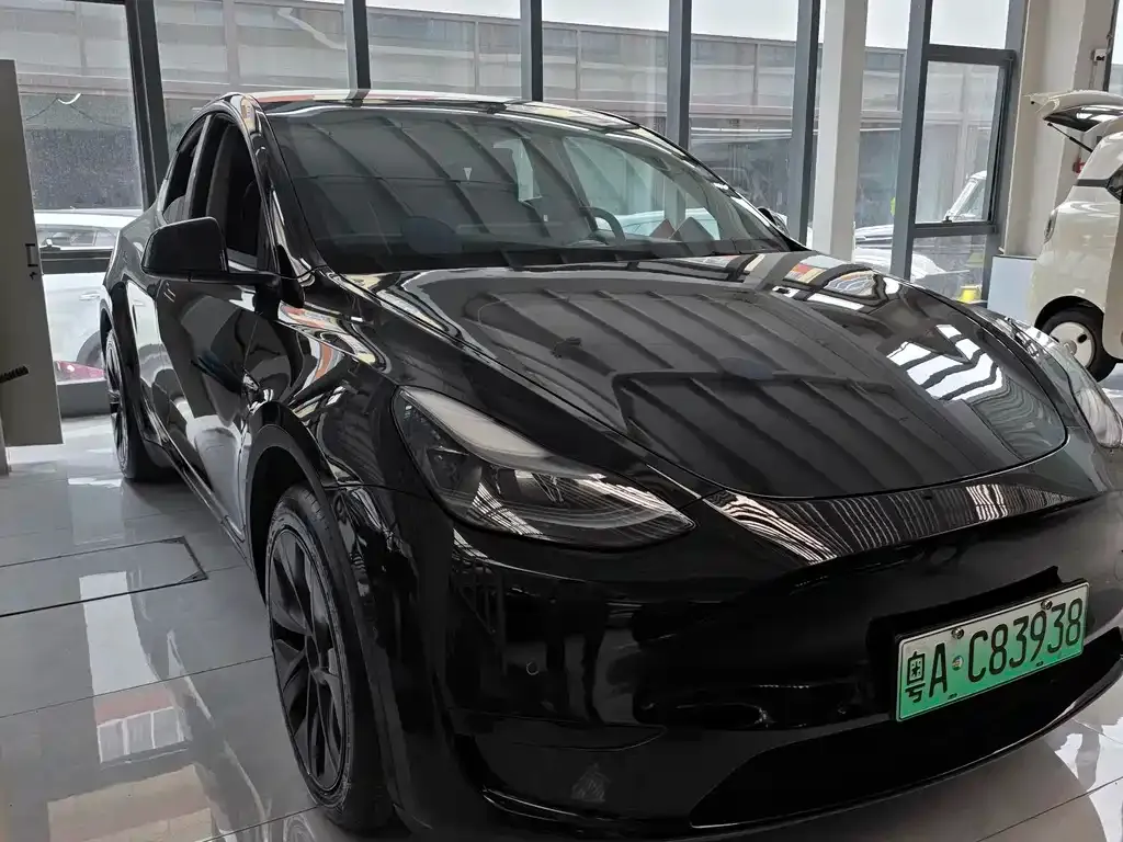 Tesla Model Y — фото 9