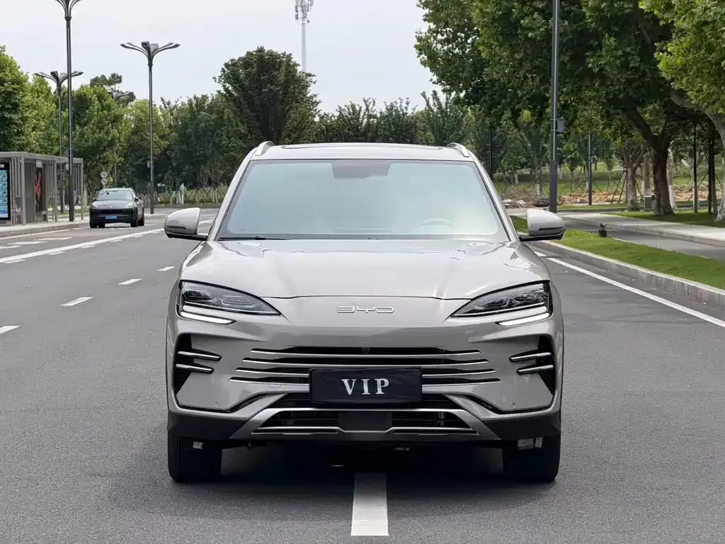 BYD PLUS New Energy 2025 из CN, фото 10