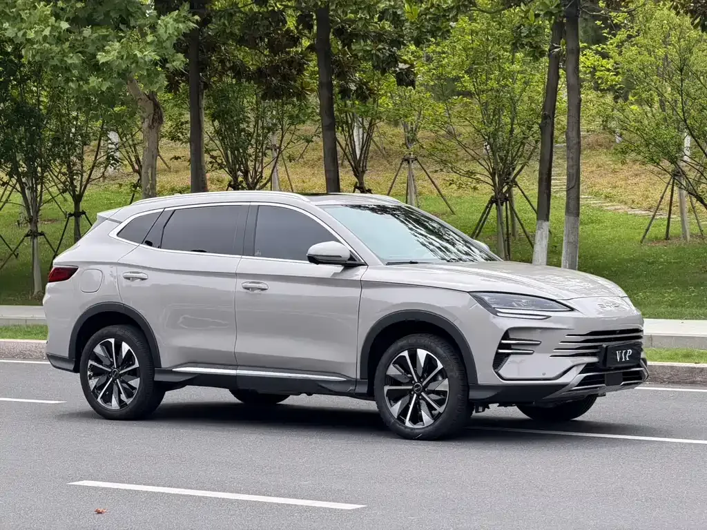 BYD PLUS New Energy 2025 из CN, фото 9