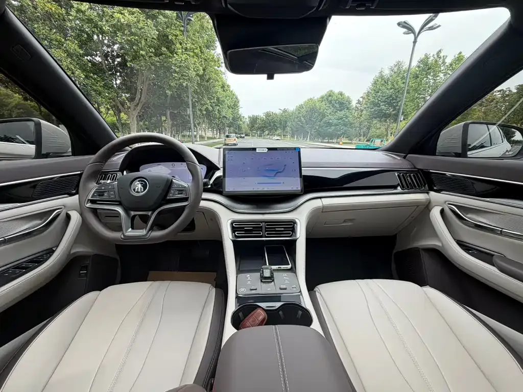 BYD PLUS New Energy 2025 из CN, фото 6