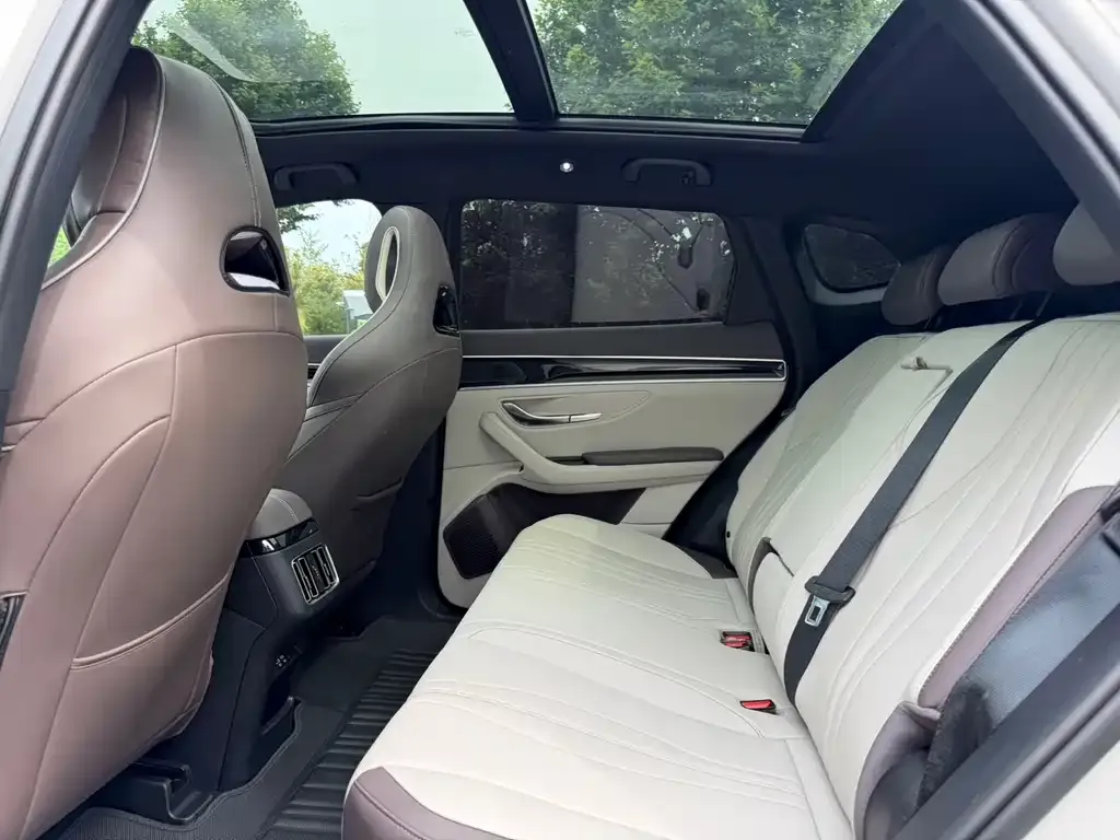 BYD PLUS New Energy 2025 из CN, фото 4