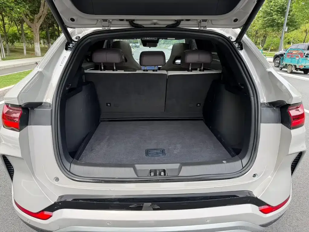 BYD PLUS New Energy 2025 из CN, фото 5