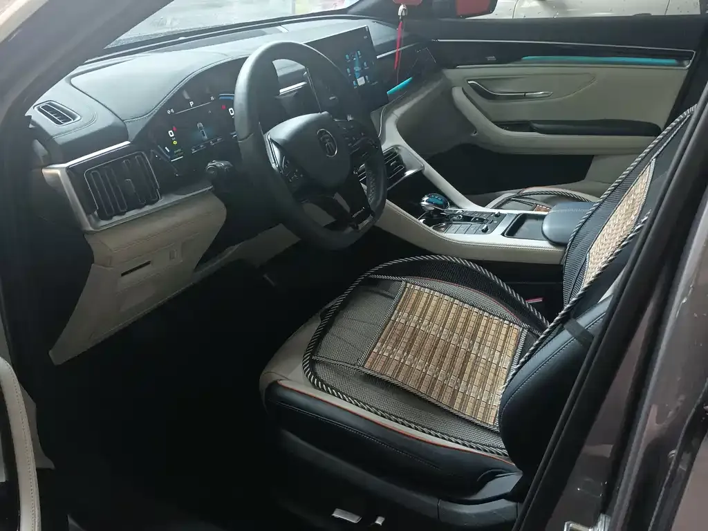 BYD PLUS New Energy 2022 из CN, фото 4