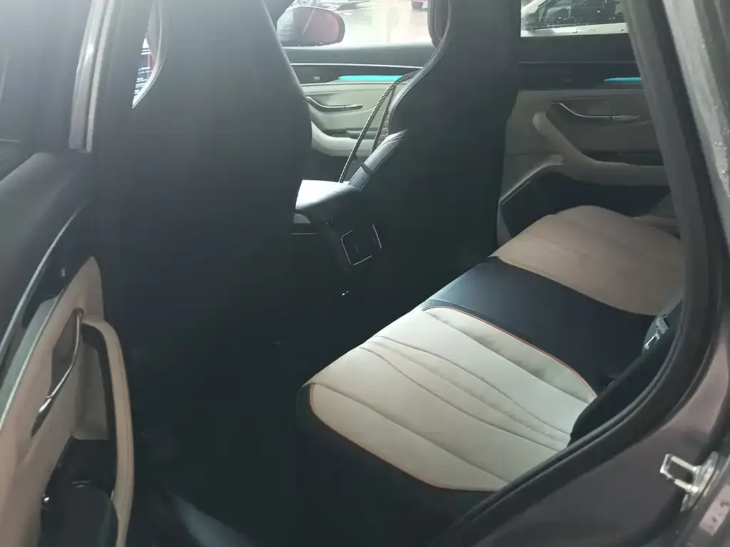 BYD PLUS New Energy 2022 из CN, фото 6