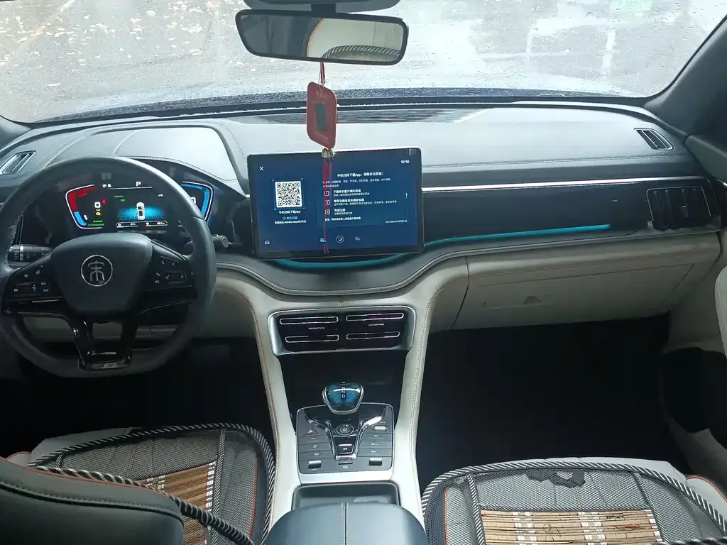 BYD PLUS New Energy 2022 из CN, фото 8