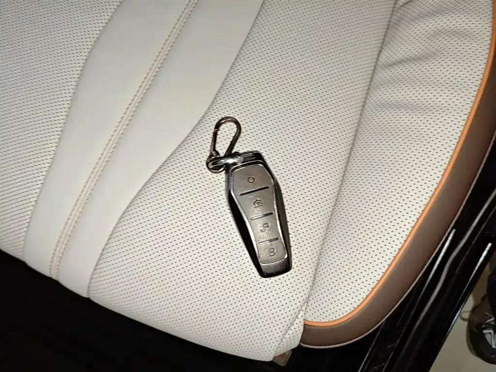 BYD Pro New Energy — фото 3